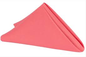 Napkin